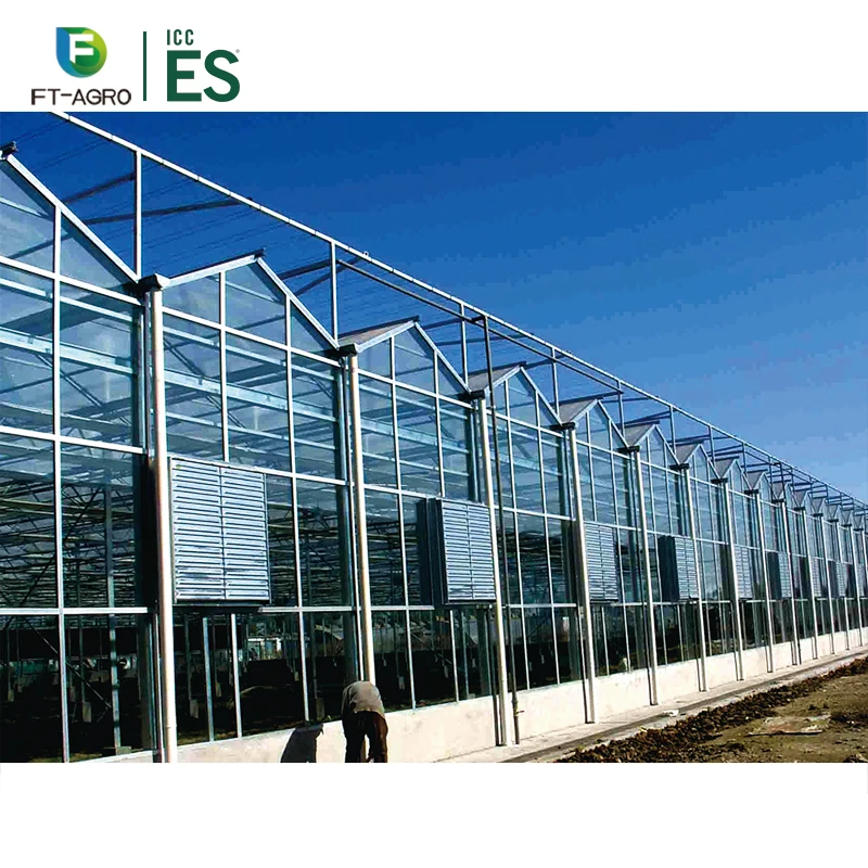 Climate control greenhouse glass greenhouse for hydroponic lettuce growing