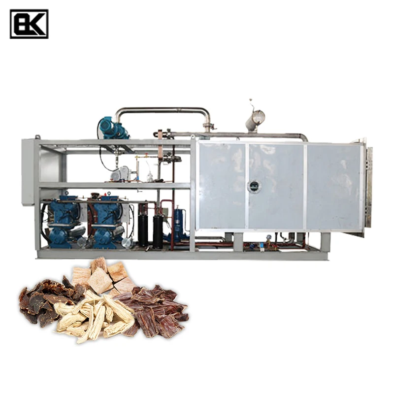 Manufactory Wholesale high working efficiency lyophilized in situ sublimation condensation home use freeze dryer