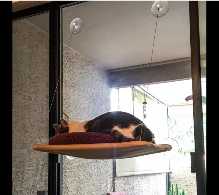 pet hanging hammock strong suction cat window perch seat bed-summer cat window mounted bed