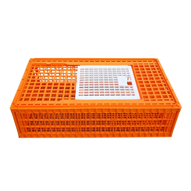 
96x55x27cm Orange poultry crates adult live broiler chicken cage for transporting poultry carry box 