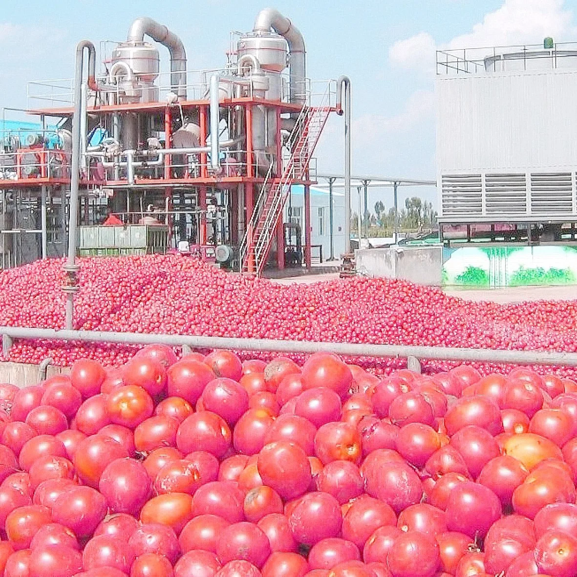 Tomato Paste/sauce/ketchup Making Machine Processing Line Multifunctional Customized