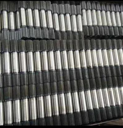 Speed reducer input and output shaft