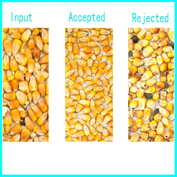 Corn color sorter maize sorting machine food flakes selector harvest equipment from china manufacturer hefei factory directly