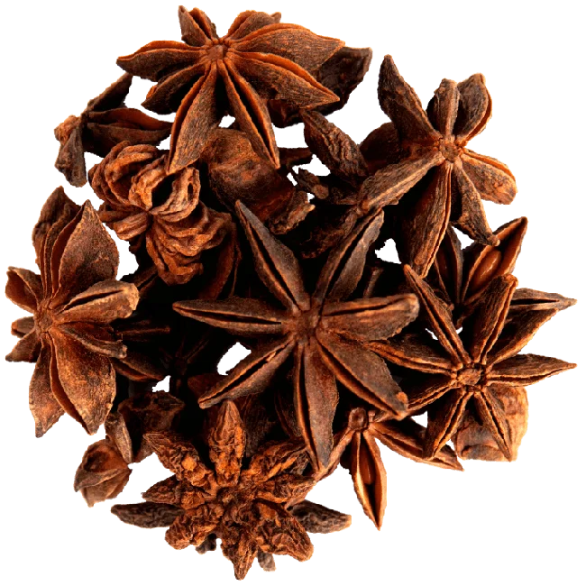 2021 Wholesale Viet Nam Factory Supplier Natural star anise Best Quality For Seasoning Harmless Healthy