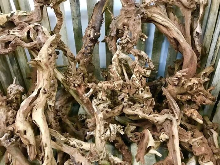 Аквариум и бонсай мангровая древесина driftwood root tweety