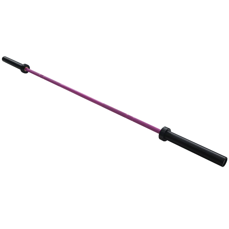 WellTrust dumbbell barbell set barbell rod best price weight lifting