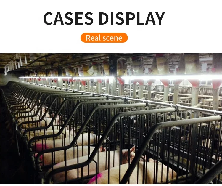 Tri-proof ammonia resistant led tubes poultry farm professional lighting for chicken house led