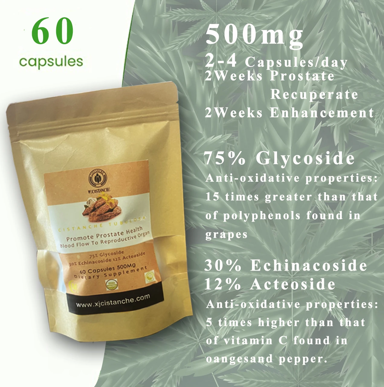 Herbal Cistanche Prostate Supplement 75% Total Glycosides 30% Echinacoside 12% Acteoside Herbal Cistanche Tablets