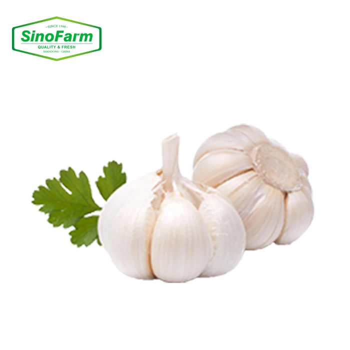 Fresh Normal White Garlic / Red Galic in 10kg/Carton with Different Size -Hot Sale !!!