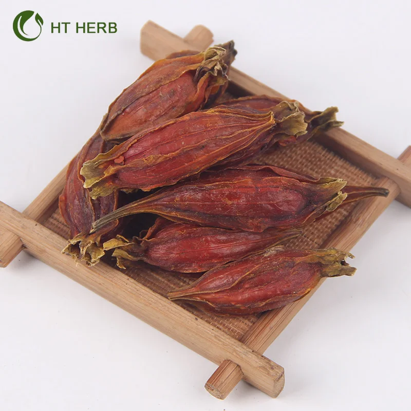 High Quality Fructus Gardeniae Natural Agricultural Product Dried Gardenia Fruits iFactory Price Arrival Dried Fructus Gardenia