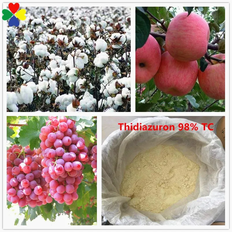 China Manufacturer Plant Growth Regulator Thidiazuron 50%wp