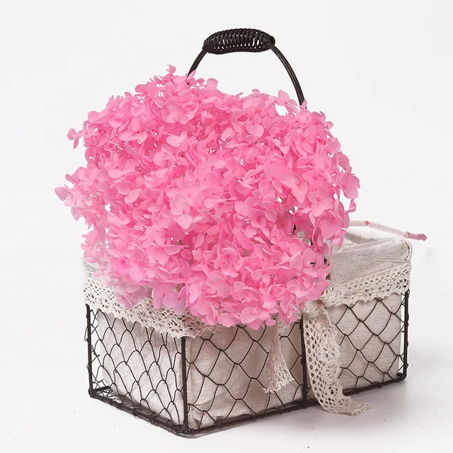 DIY Material Preserved Fresh Anna hydrangea Flower Long Lasting hydrangea