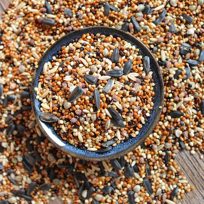 Best Selling Free Sample Pet Parrot Wild Bird Seed Food