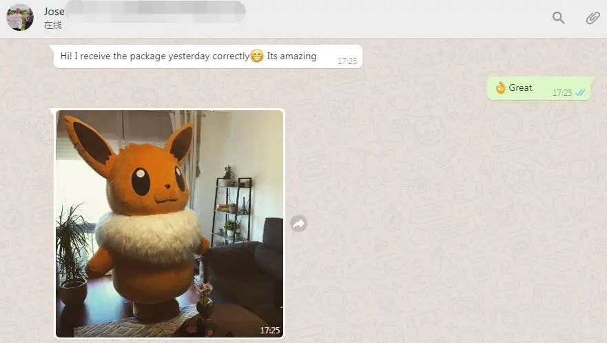 High Quality 2M Pikachu Pokemon Eevee Ibraimi Cartoon Character Inflatable Mascot costumes