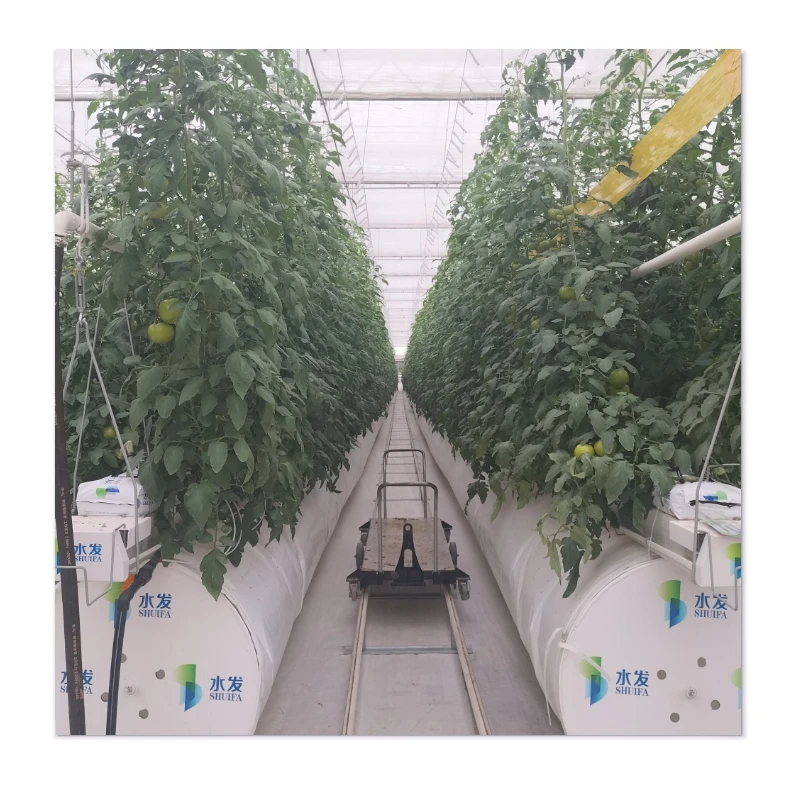 99% Wind Resistance + Durability at Affordable Price - Greenhouses