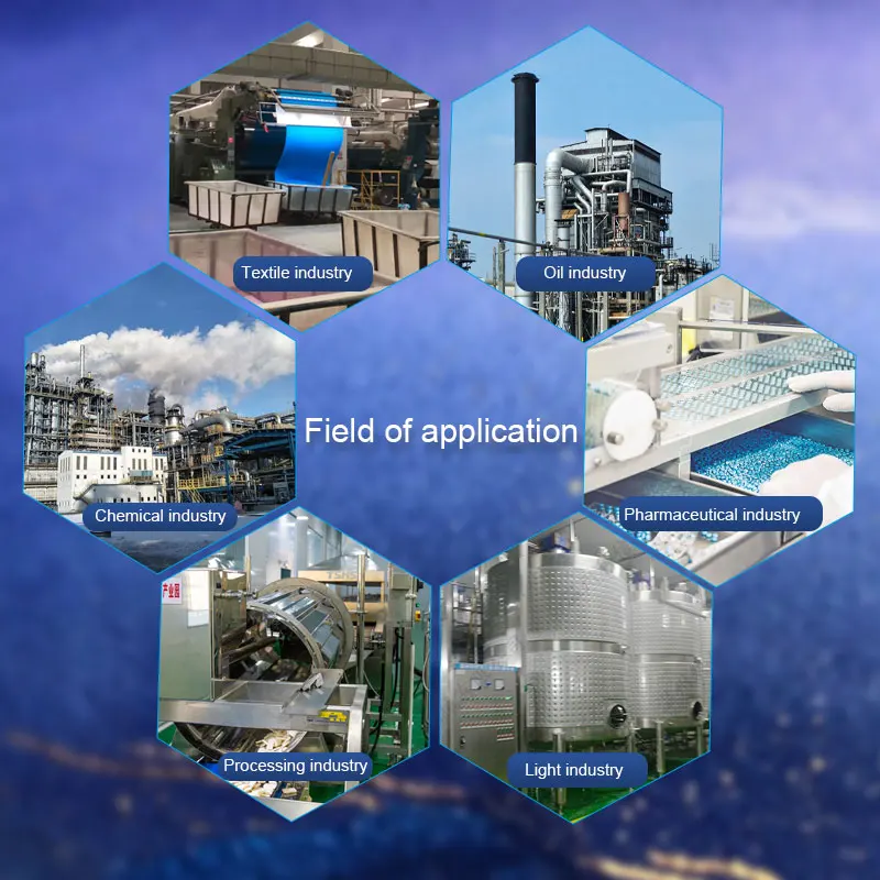 CJSE automatic biomass fired chain grate steam boiler for food processing