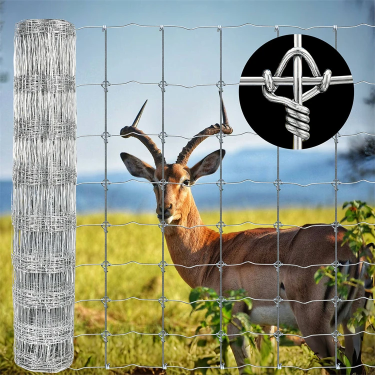 Factory-Priced Galvanized Cattle Fence Fixed Knot Woven Wire for Deer or Sheep Farm Iron & T Post