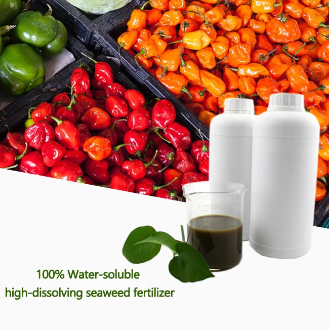 Импортные удобрения для сельского хозяйства экстракт морских водорослей жидкое органическое удобрение растительные