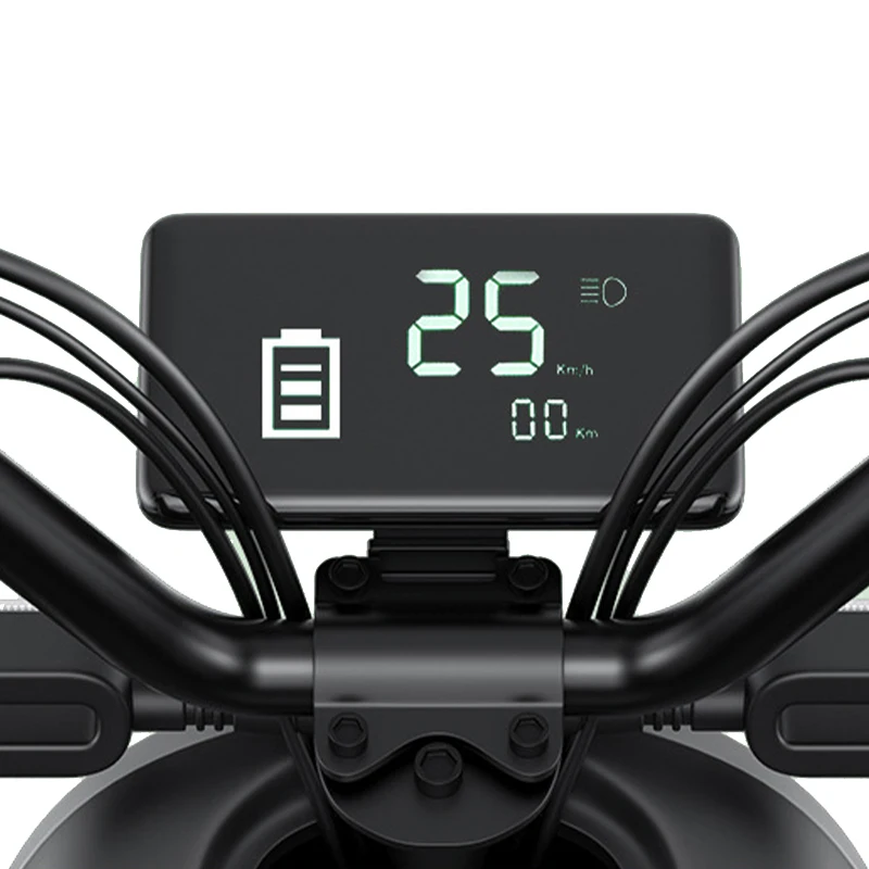 Paige 2024 New Style Model Electric Bicycle Adult 20Inch 1000W Rechargeable E-Bike Cycle Xingtu