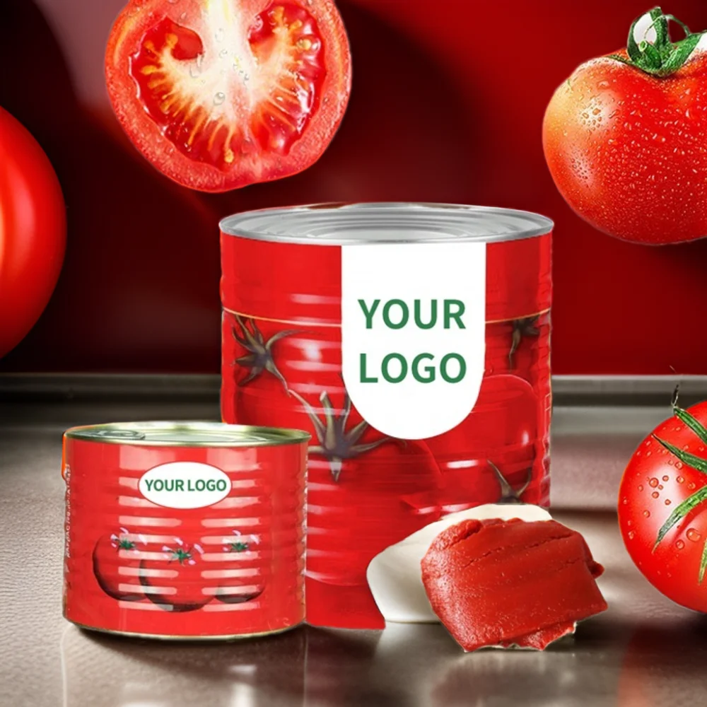 2023 High Quality Tomato Paste 30 Brix Sweet and Sour Taste Additives Water Fast Sell with Best Price from China