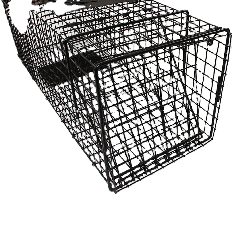 Stainless Steel Animal Control Catch Cage Pest Control Supplies for Lab Rat Cages Farm Use US Sheet Size