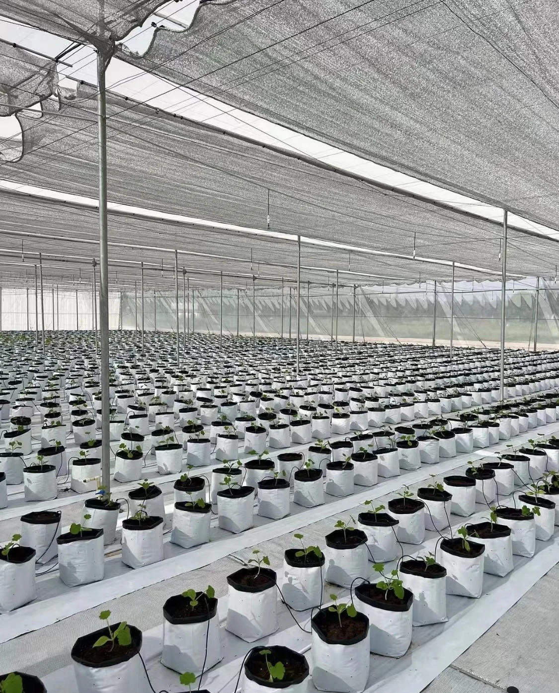 Agricultural greenhouse woven fabric Aluminum mesh shade net Aluminum sliver shade cloth sun cover Sliver Foil net