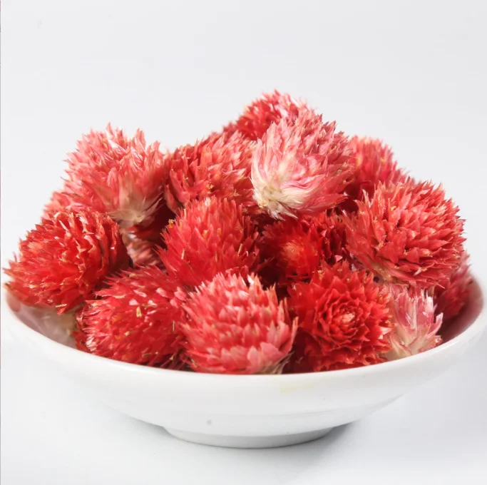 Summer Flora factory supply decorative flowers rainbow flowers globe amaranth dried flowers