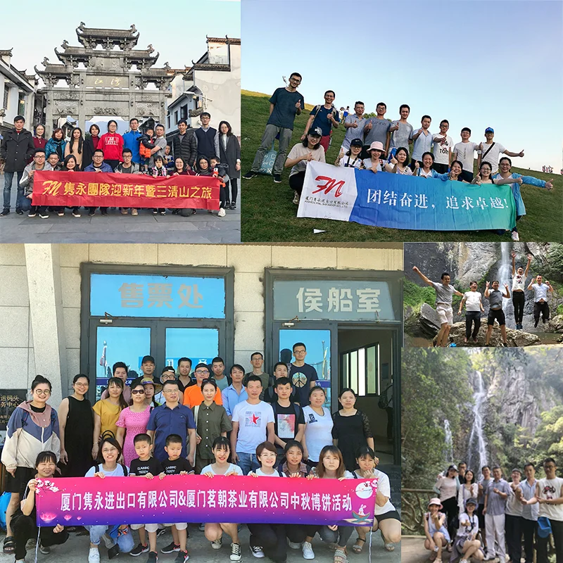 paste-pic-dp_uuid_eu7eh