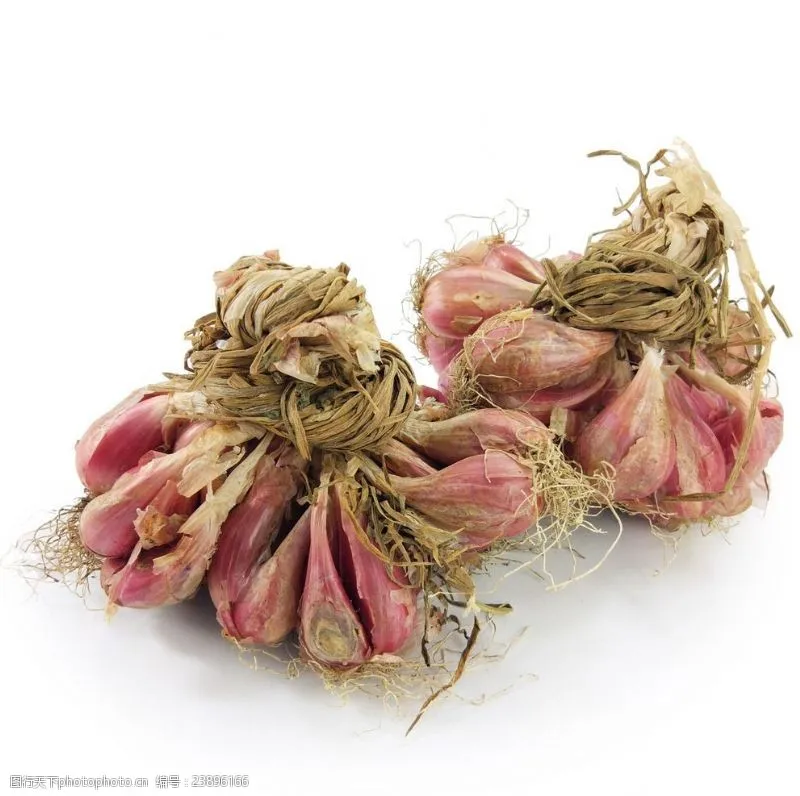 commercial spice dryer garlic drying machine heat pump dryer factory whole sale price