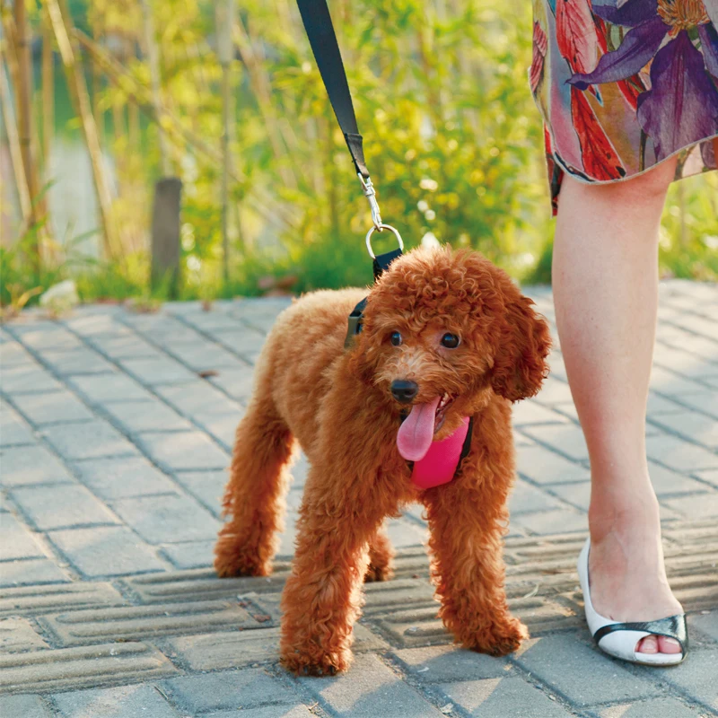 Adjustable ecofriendly wholesale custom logo comfort soft nylon padded pet chest strap car seat safety small dog harness