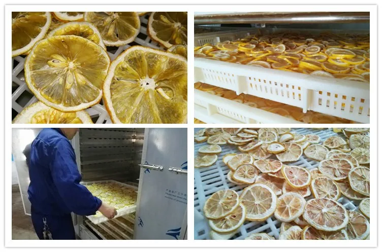 Solar vegetable dryer full automated dry fruit production line dried fruit line food dried production line