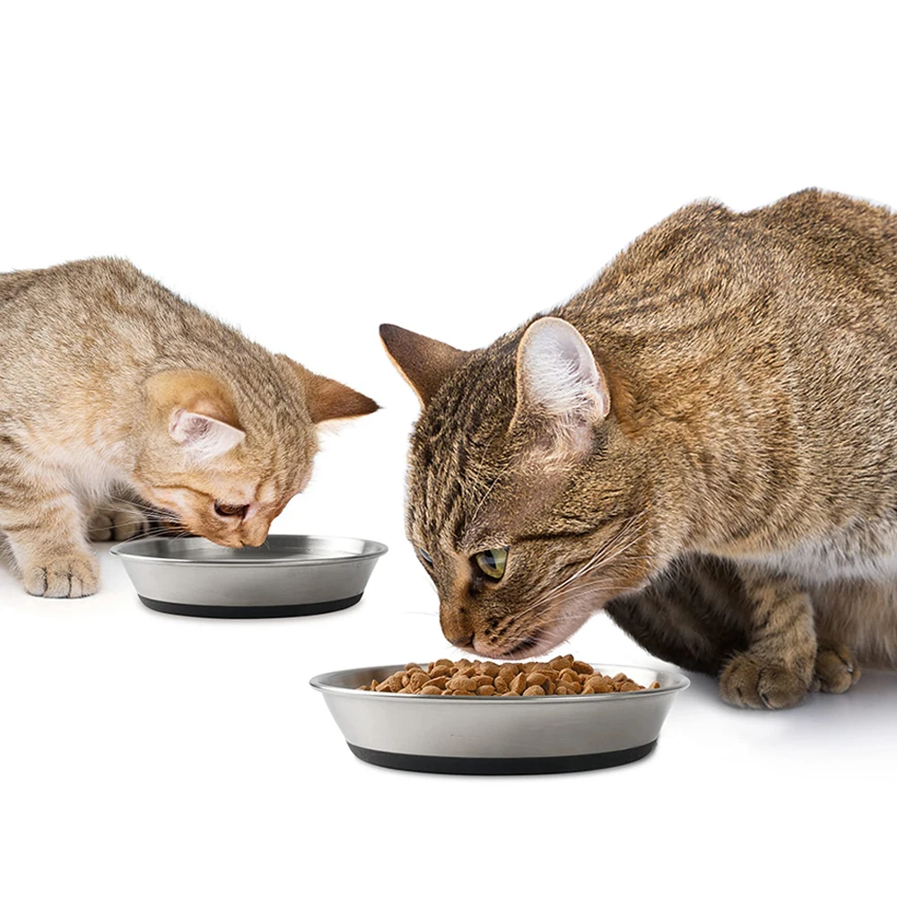 Whisker Fatigue Shallow Non-Slip Cat Dishes Plates for Small Dog Puppies Cat Bowls Stainless Steel Cat Bowls for Food and Water
