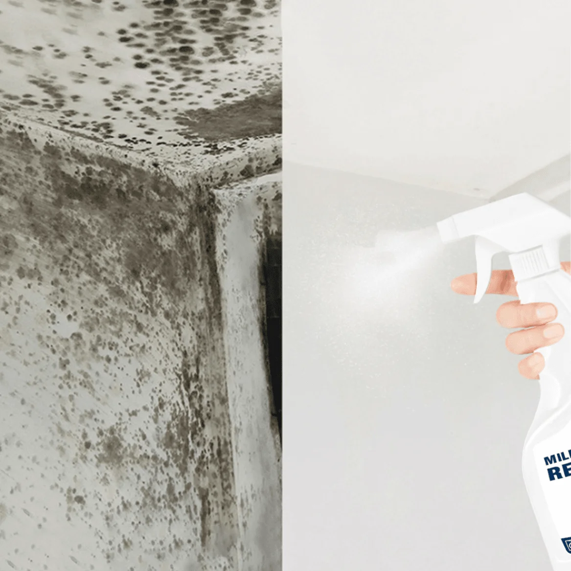 Good Performance 500ml Wall Mold Mildew Remover For Wall Bathroom