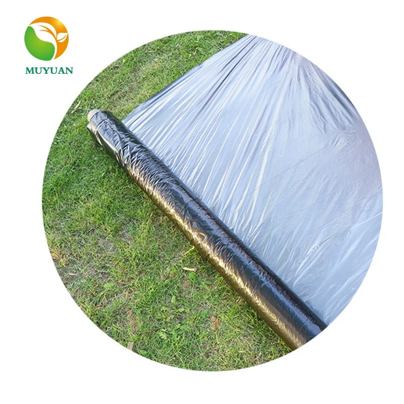 Cheap price PE sliver black farm planting 20 micron greenhouse vegetable mulch film plastic film