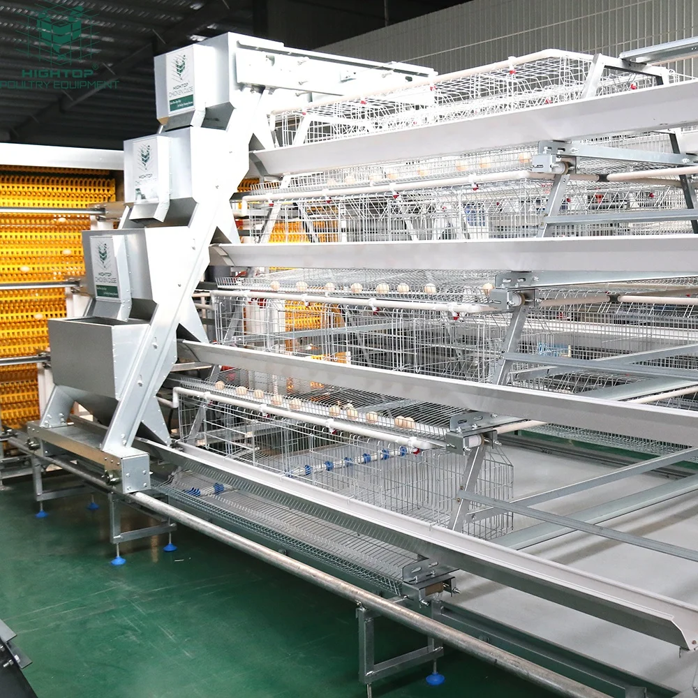 Factory Price Automatic Egg Chicken Poultry Farming A Type Chicken Layer Cages 3 Tier 4 Tier Battery Layer Farm Cage For Sale