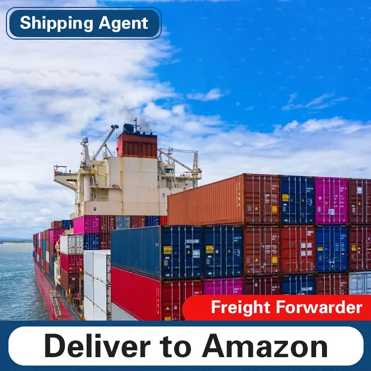 China sea Shipping Cheap Ocean Freight Professional shipping Forwarder From China to USA Payment agent