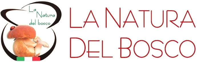 
Hot sale healthy 100% natural truffle creams sauce 