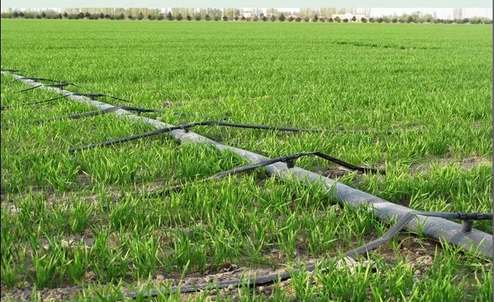 Hot Sell Factory Price Farm Drip 16mm Irrigation System PE Drip Pipe