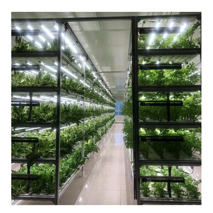 Гидропонные вертикальные системы выращивания фермы