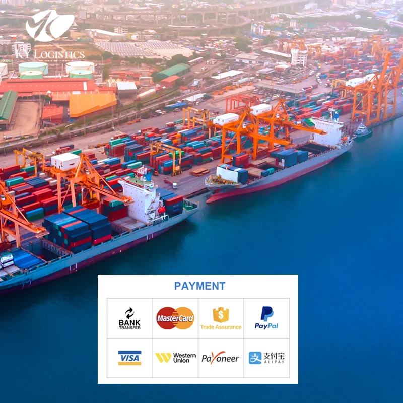 Shipping Forwarder China to Usa From Fcl Uae Ddp FOB Australia Canada for Europa Cargo Arab Emirates Shipping Forwarder