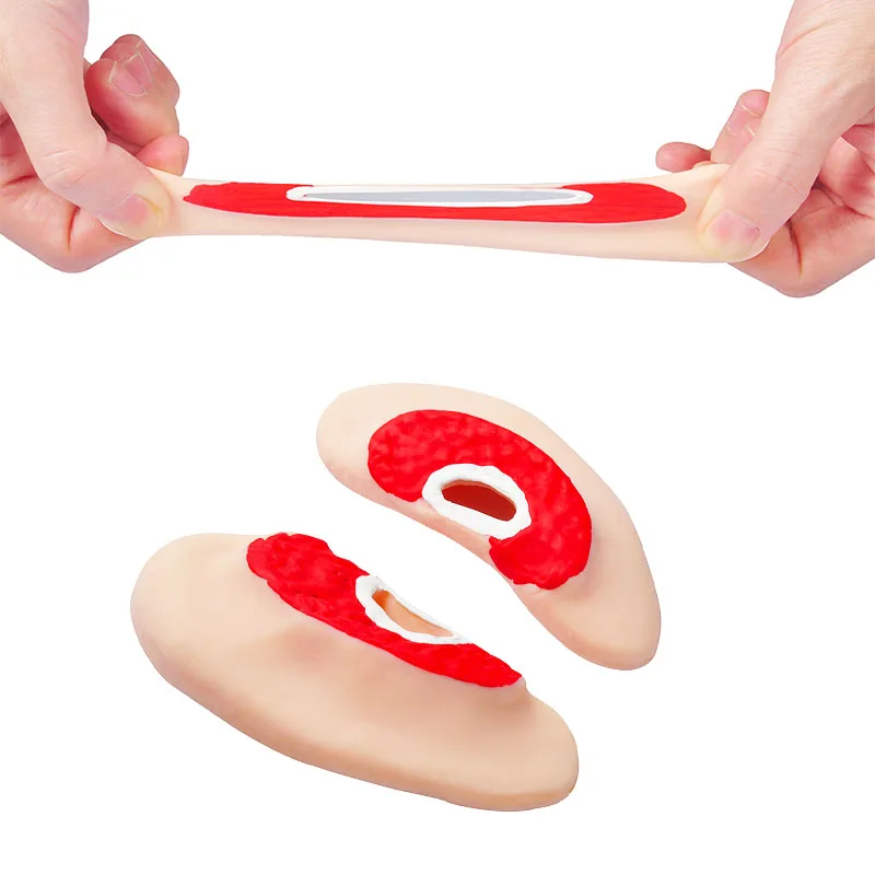 Human Anatomical Lung Model Sticky or Non-Sticky Toys TPR Material Medical Alveoli Model