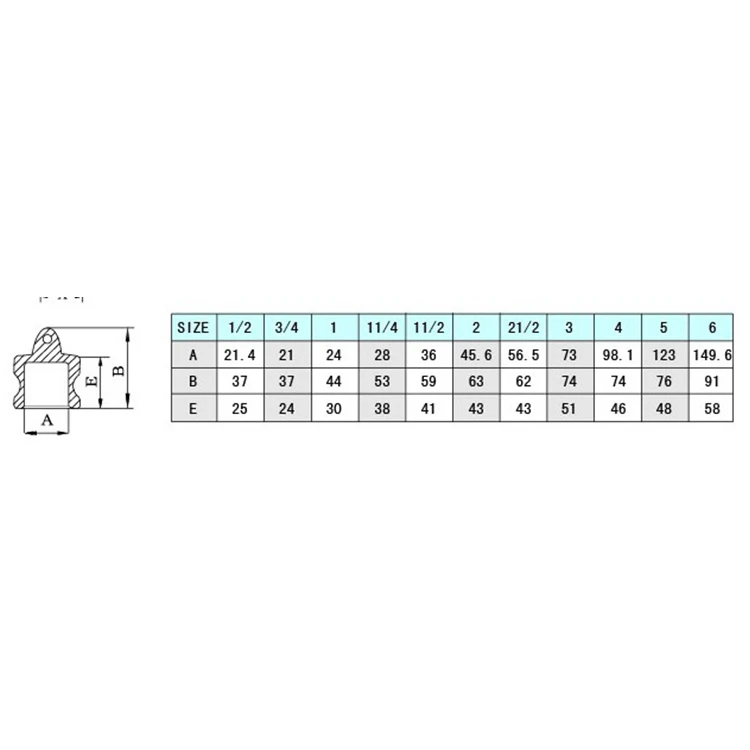 SS304/SS316 из нержавеющей стали литой BSPT резьбовой dp пылезащитный штекер кулачковый замок быстрое соединение