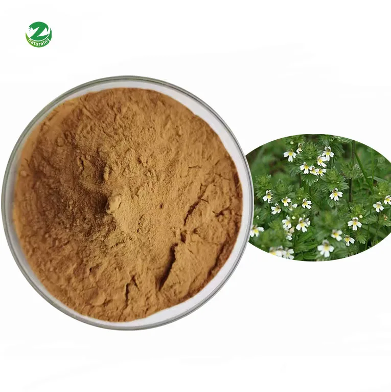Заводская поставка натуральный порошок экстракта Eeybright 10:1 Euphrasia Officinalis