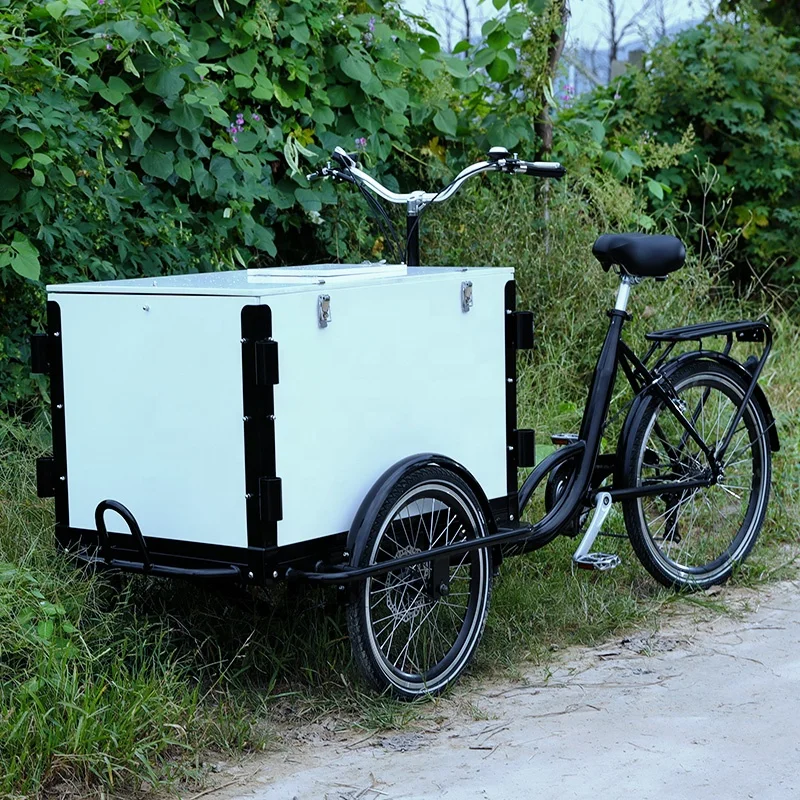 Cheap Front Closed Cabin Cargo Carrier Tricycle With Lid And Lock