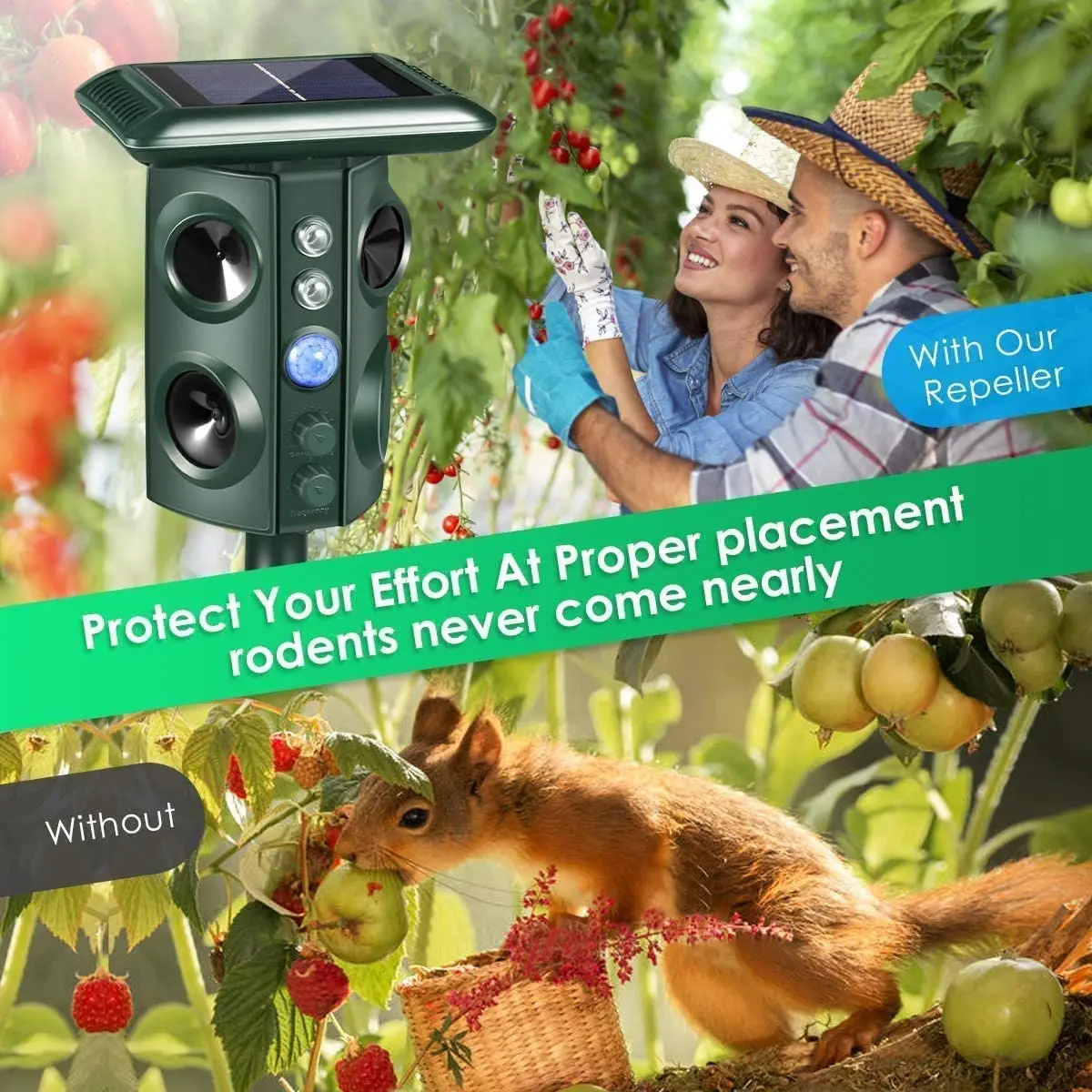 OEM electronic ultrasonic anti animal sensor rat lion orangutan marten fox mouse bird pigeon scare sound repeller