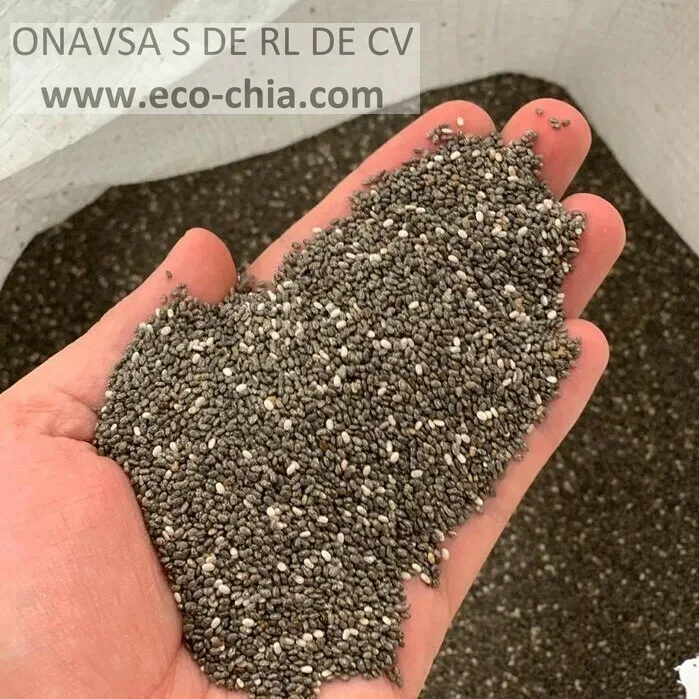 
High Quality 100% Natural Organic Black Chia Seed From Mexico For Wholesale 
