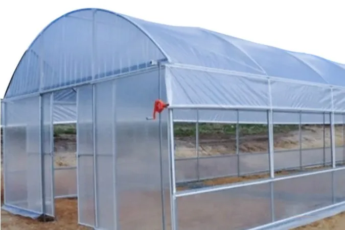 
Single Span Low Cost Tunnel PE Film Greenhouse For Flowers 