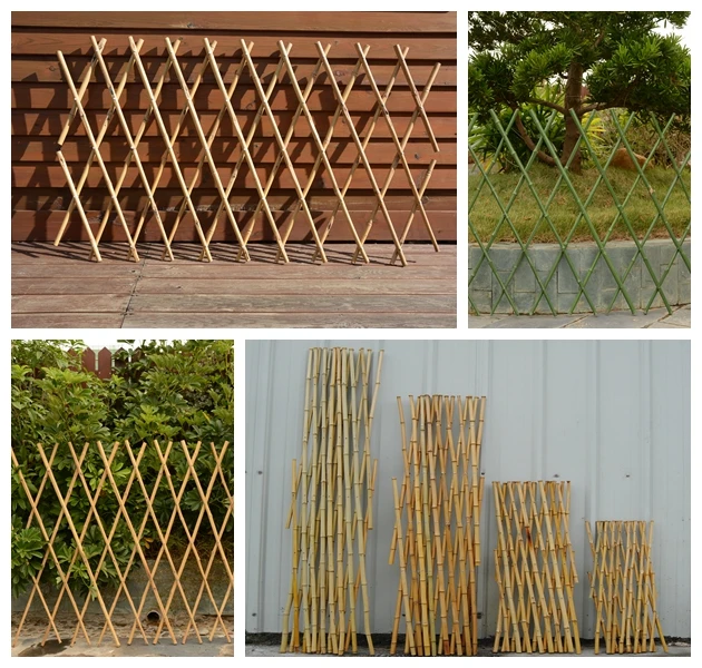 webwxgetmsgimg (1).jpg