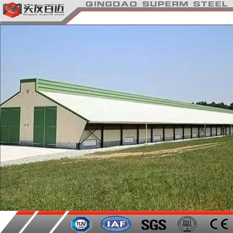 Prefabricated Metal Farm Building Steel Structure Fabrication  Poultry Farm Chicken House