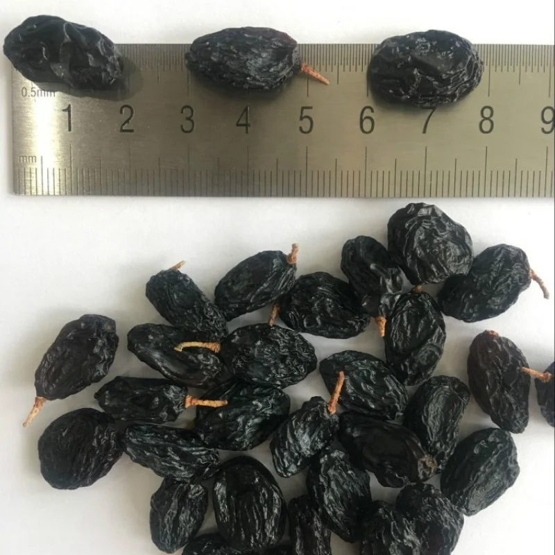 Factory black raisin Xinjiang
